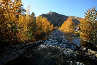 Fall Color On THe Entiat River ( Shot Off OLd  Ferris Bridge  )