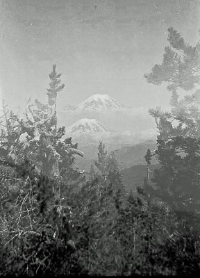  Double Vision    ( OK, Double Exposure ) Mt Rainier In Distance