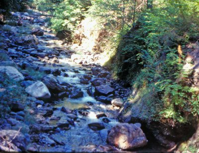  Grider Creek In Marble Mountains