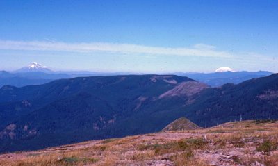  View Of Mt Saint Helens And Mt. Adams From Oregon