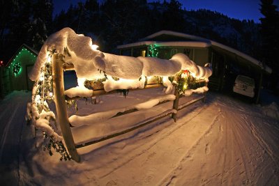 Snow Covered Fence