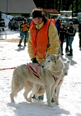 Holding Dogs In Place For Start