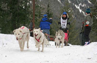 Musher  Kevin Casey  Off At Start Of Trinity Checkpoint