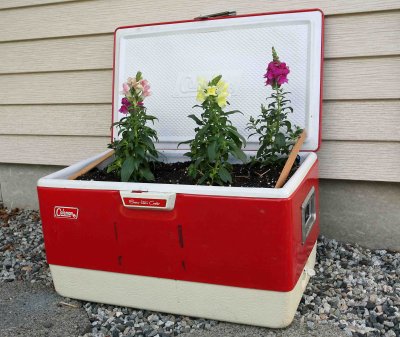  As far as flowers go,,, ice chest,, wheel barrow, and Kayak gives it a bit more of a  Guy Theme 