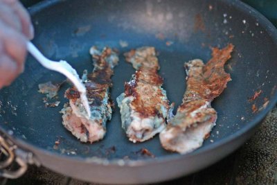 Brook Trout In The Pan