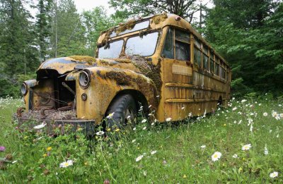 Into The Wild School Bus ????