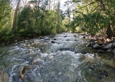 Summertime  Mad River  Near Pine Flats Campground