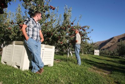 Sam And Father Bill  Checking Crop