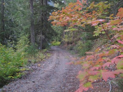 Fall Colors Along Road Closure