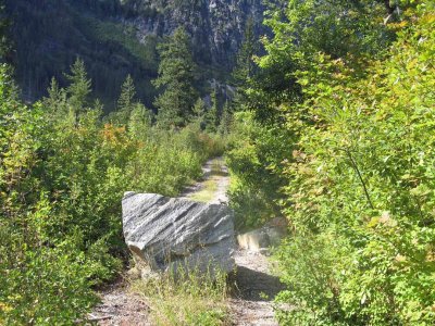 Another Road Block Near Cottonwood Campground