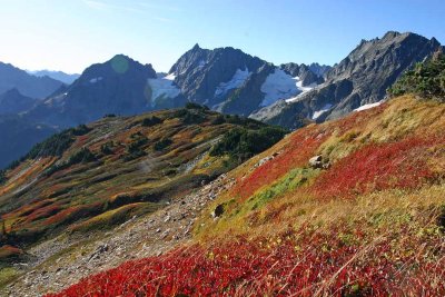 Fields Of Fall Colors