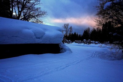  Winter Late Afternoon At  Buckner Homestead 