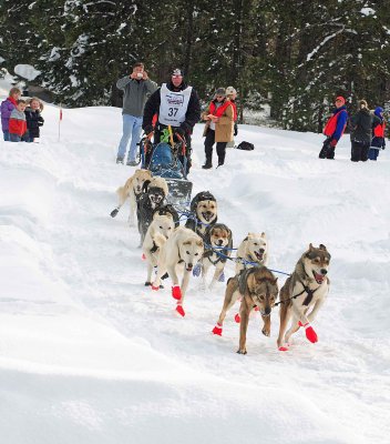 2008 Cascade Quest Race