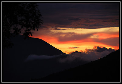 Photo a day