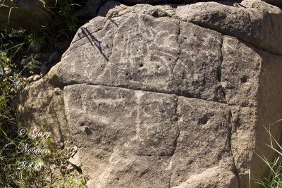 pteroglyph by trail 08232008_MG_8044 copy.jpg