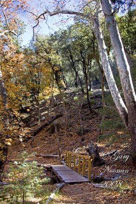 bledsoe upper bridge fall 113020080451 copy.jpg