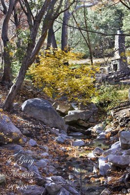 stream east v of chimney 113020080310.jpg