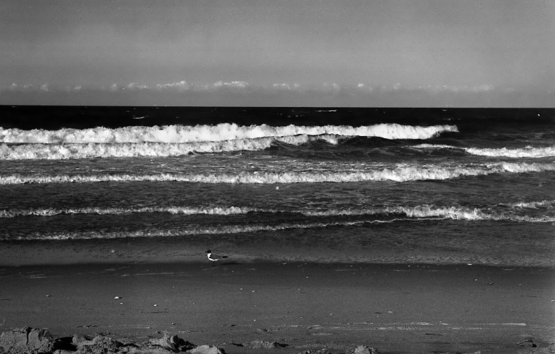 Beach late afternoon