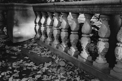Leaves and Columns