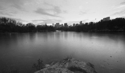 Skyline from Central Park
