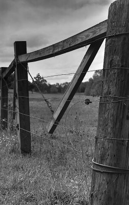 Electric Fence