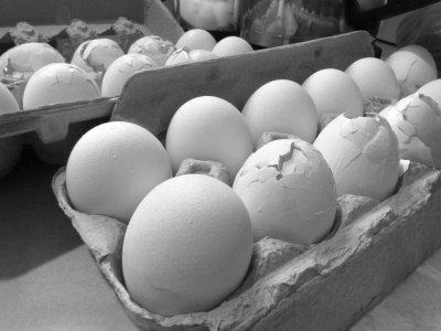 Eggcident