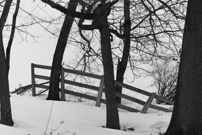 Fence Section