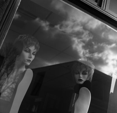 Window fantasy