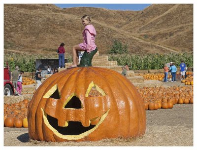 Giant Pumpkin