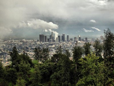 Downtown Los Angeles After A Storm