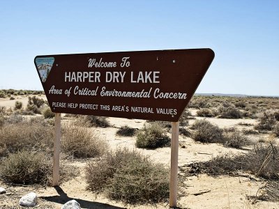 Harper Dry Lake Marsh