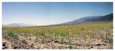 Death Valley