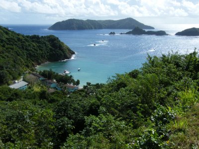 View of Little Tobago and Goat Island from Starwood Trail
