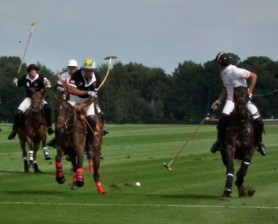 The Chase  (note the bending bamboo polo sticks)