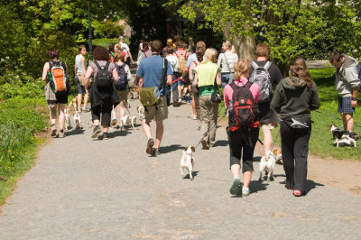 The dog club tours Karlovy Vary