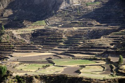 PERU 0134.jpg