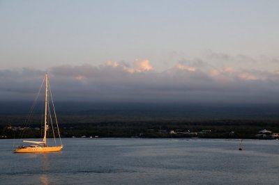 Galapagos 0601.jpg