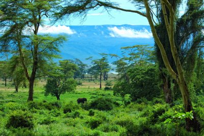 Tanzania 2005 0585.jpg