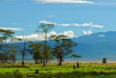 Tanzania 2005 0590.jpg