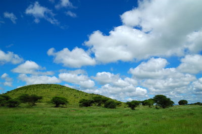 Tanzania 2005 0015.jpg