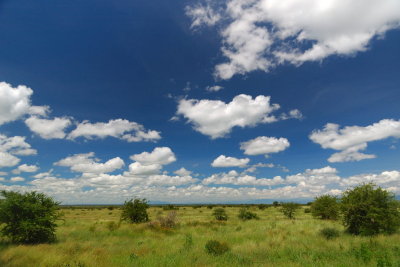 Tanzania 2005 0023.jpg