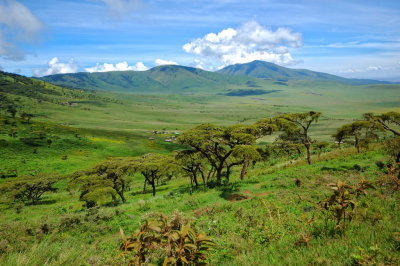 Tanzania 2005 0131.jpg