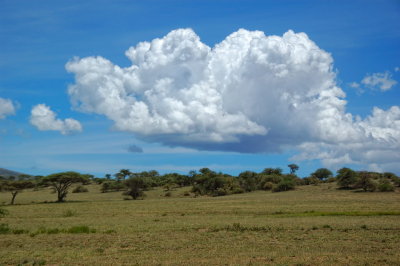 Tanzania 2005 0160.jpg