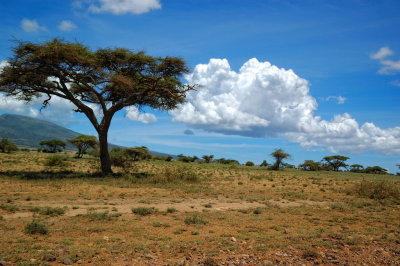 Tanzania 2005 0161.jpg