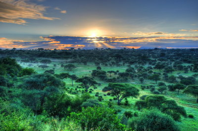 Tanzania HDR 054.jpg