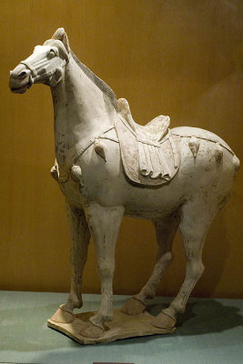 Tang Dynasty horse, Henan Museum