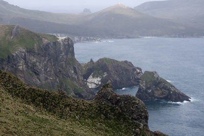 Western coast of Campbell I.