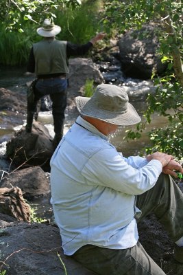 IMG_9923.jpg