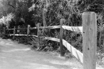 Wooden Fence.jpg