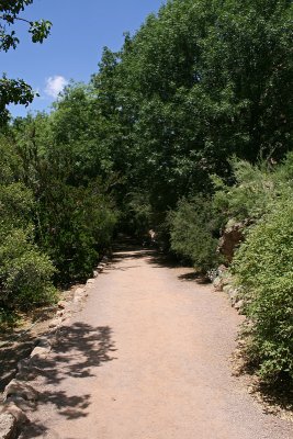IMG_4947.jpg